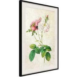 Arkiio Affisch Floristic Chic [Poster] 40x60 Poster